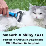Deshedding Tool For Dogs And Cats