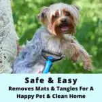 Deshedding Tool For Dogs And Cats